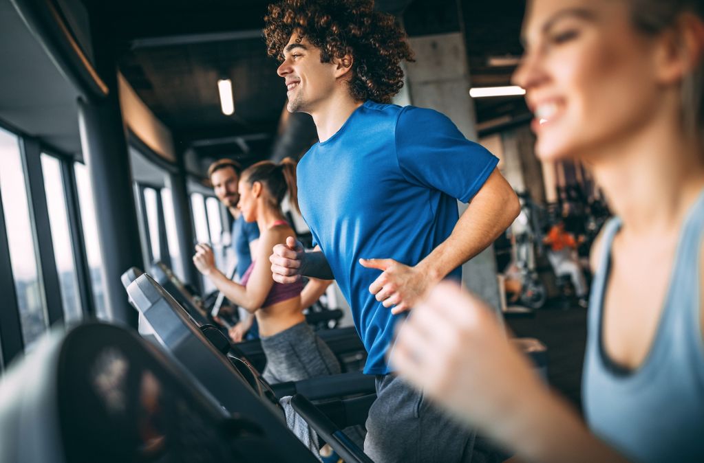 Convierte Tu Sala de Fitness en un Gimnasio Interactivo con Aplifit